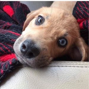 BUY ANY 2 HANDMADE HATS FOR $30 with free shipping!